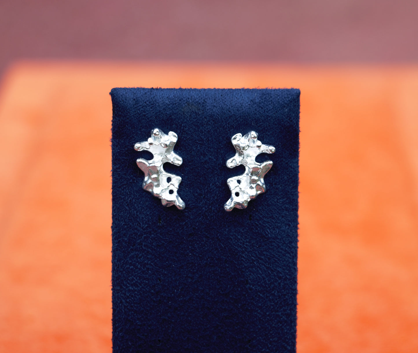Diani Stud Earrings in Silver