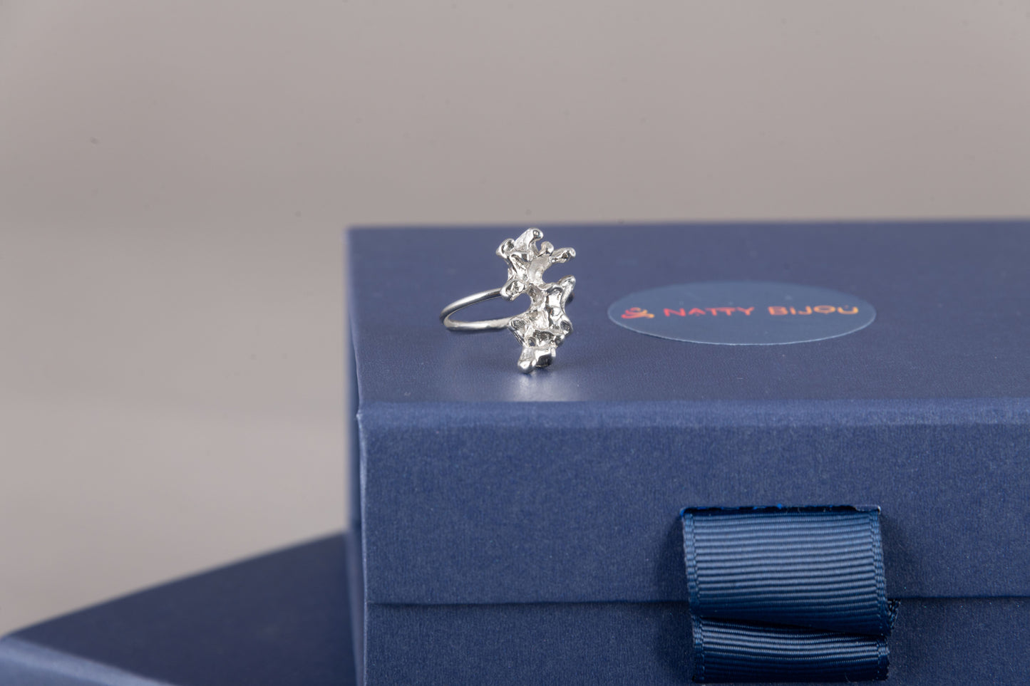 Diani Ring in Silver