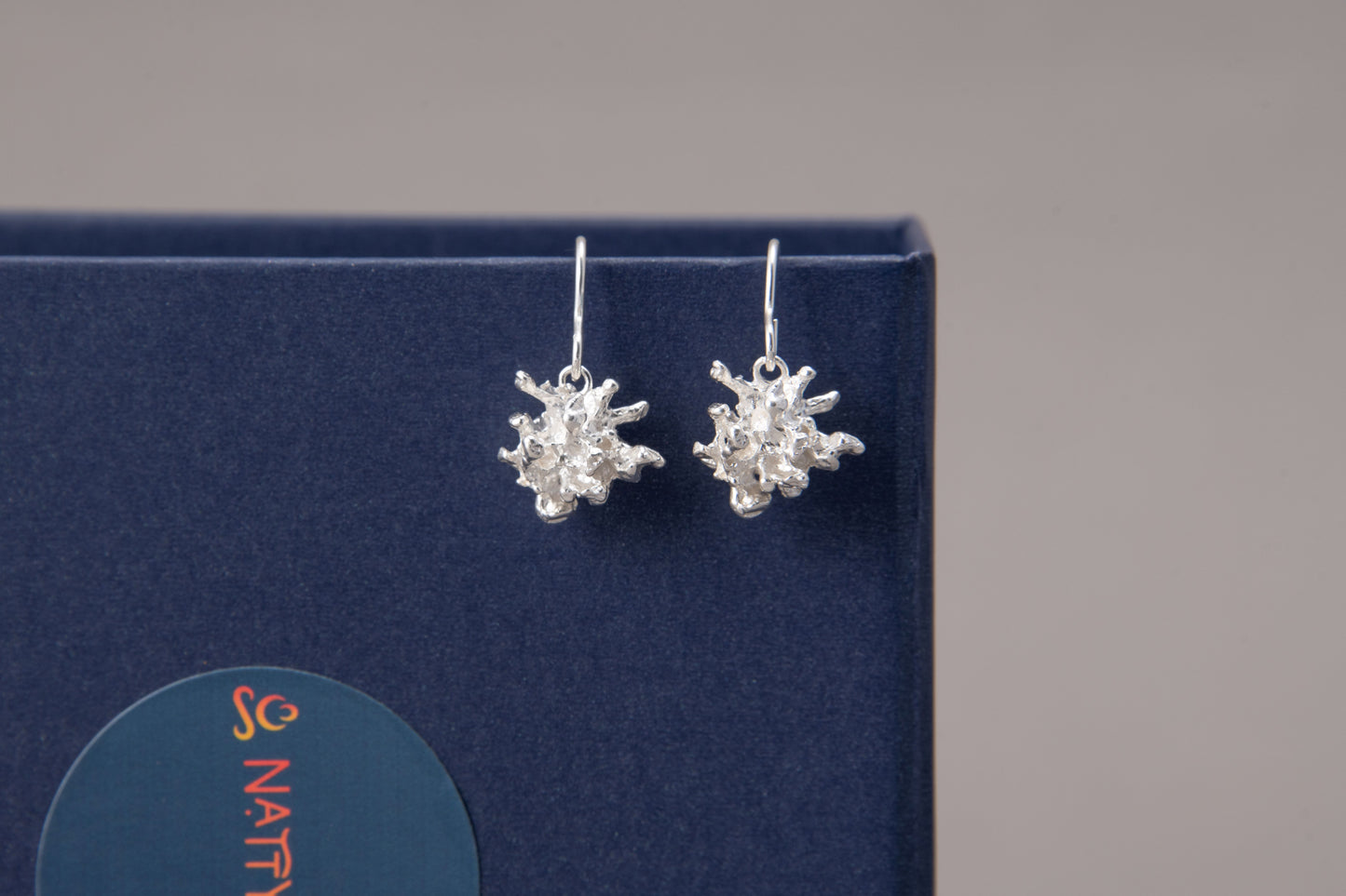 Marité Drop Earrings in Silver