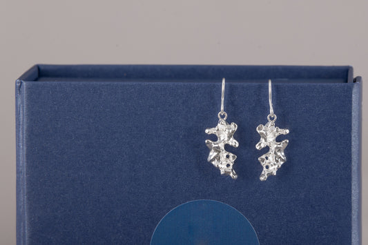 Diani Drop Earrings in Silver