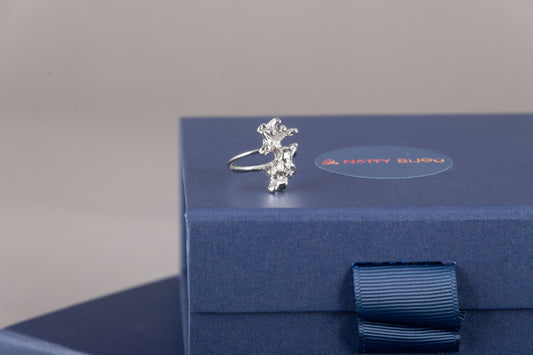 Diani Ring in Silver