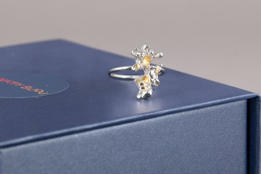 Diani Ring with 24ct Gold Accents
