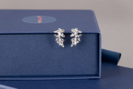 Diani Stud Earrings in Silver