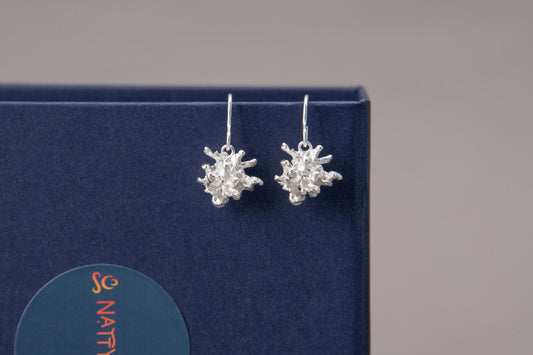 Marité Drop Earrings in Silver