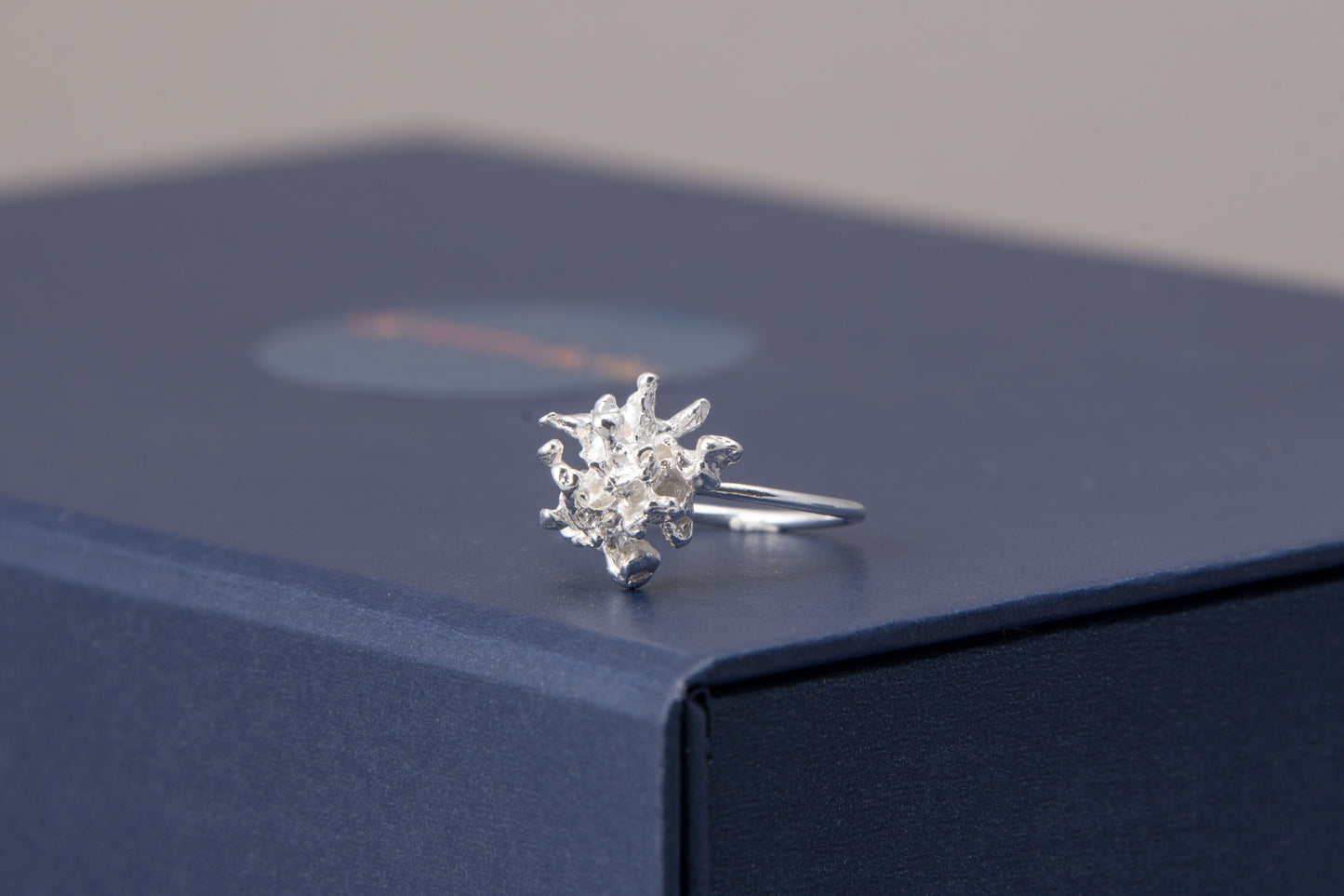Marité Ring in Silver